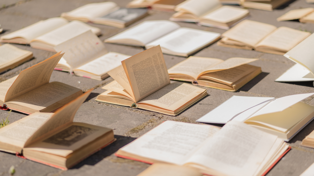 GrāmatasUz bruģētas virsmas izklātas atvērtas grāmatas ar dažāda biezuma lapām, kas vējā nedaudz paceļas un veido dinamisku rakstu. Grāmatas ir dažāda vecuma – daļai lapas ir nodzeltējušas, citām baltas un jaunas, kas simbolizē literatūras daudzveidību un zināšanu nepārtrauktību. Attēls rada sajūtu par brīvdabas lasījumu vai māksliniecisku instalāciju, kas apvieno sauli, kultūru un brīvību.