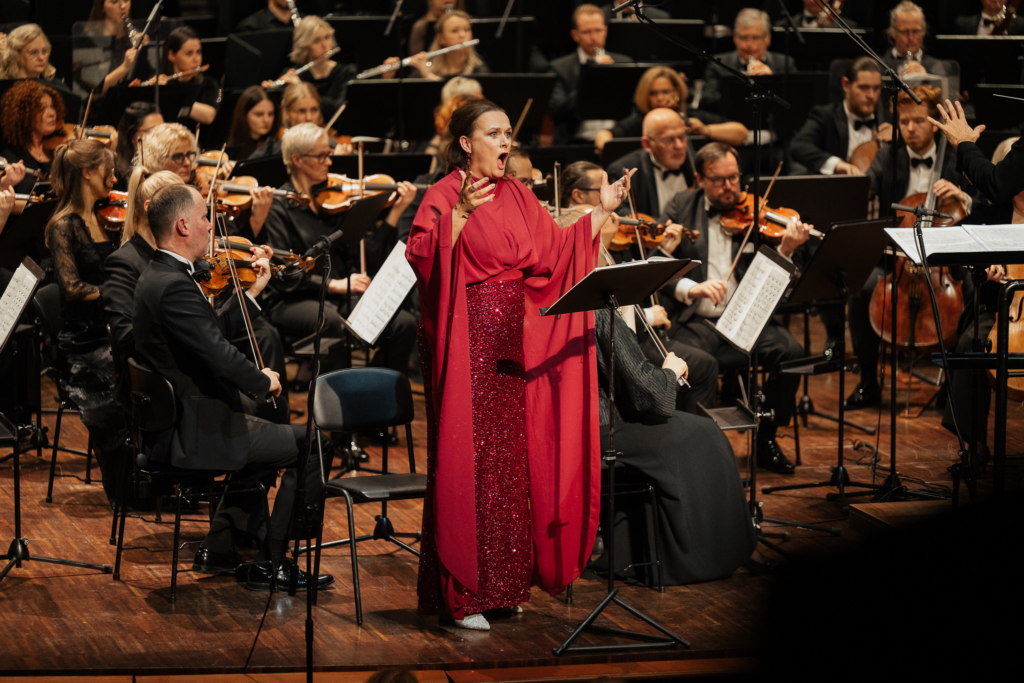 54913920099_d3e6550dd4_k