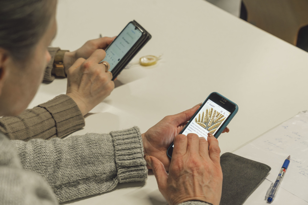 54949805826_40189c2870_k