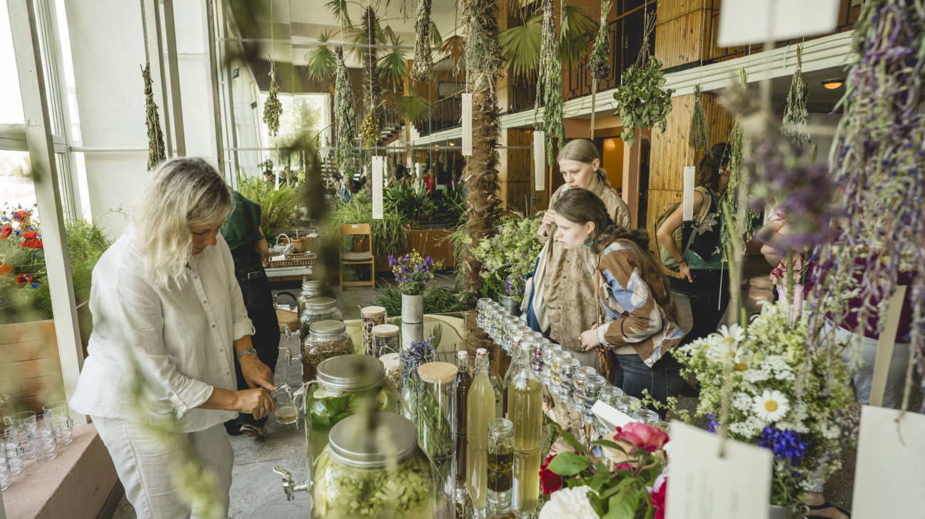 Pasākums zaļā, ar augiem un ziediem bagātīgi rotātā telpā. Priekšplānā sieviete baltā apģērbā lej dzērienu no tvertnes, savukārt divas citas sievietes pēta uz galda izvietotos augu produktus, burkas ar žāvētiem augiem un svaigiem ziediem. Pie griestiem karājas daudz žāvētu augu saišķu.