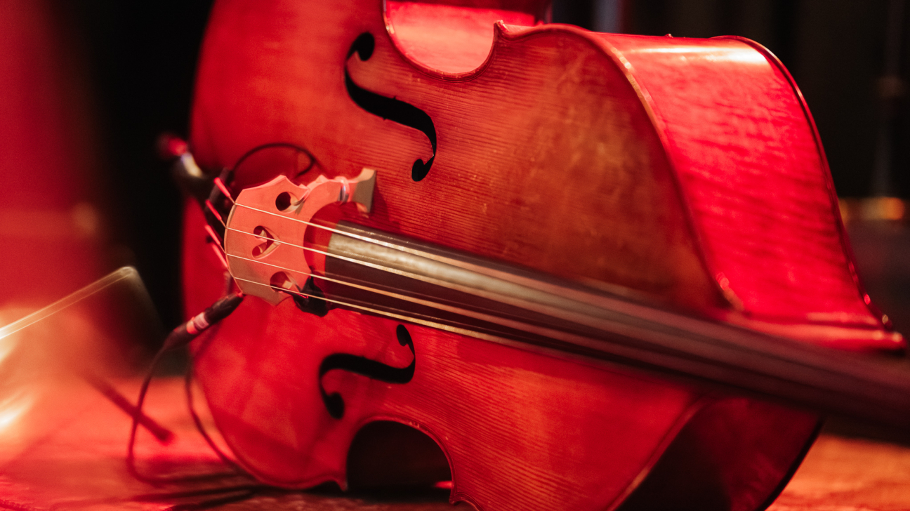 Sarkanā gaismā izgaismots čells guļ uz sāniem, ar pievienotu mikrofona kabeli pie tilta.