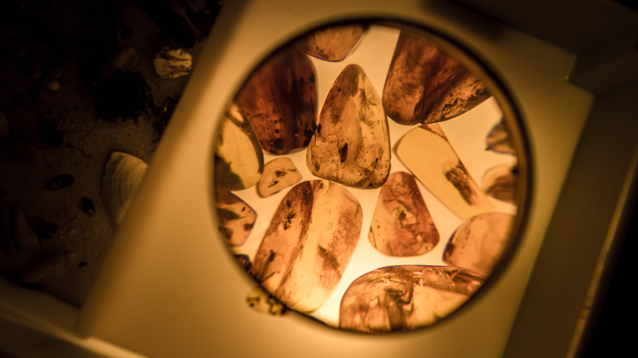 Palielinājumā redzami dažādu izmēru un toņu dzintara gabali ar ieslēgumiem, izgaismoti no apakšas. Caurspīdīgie gabali variē no gaiši dzeltenīgiem līdz tumši brūniem. Ārpus palielinātā loka fonā redzami tumšāki, neskaidri objekti.