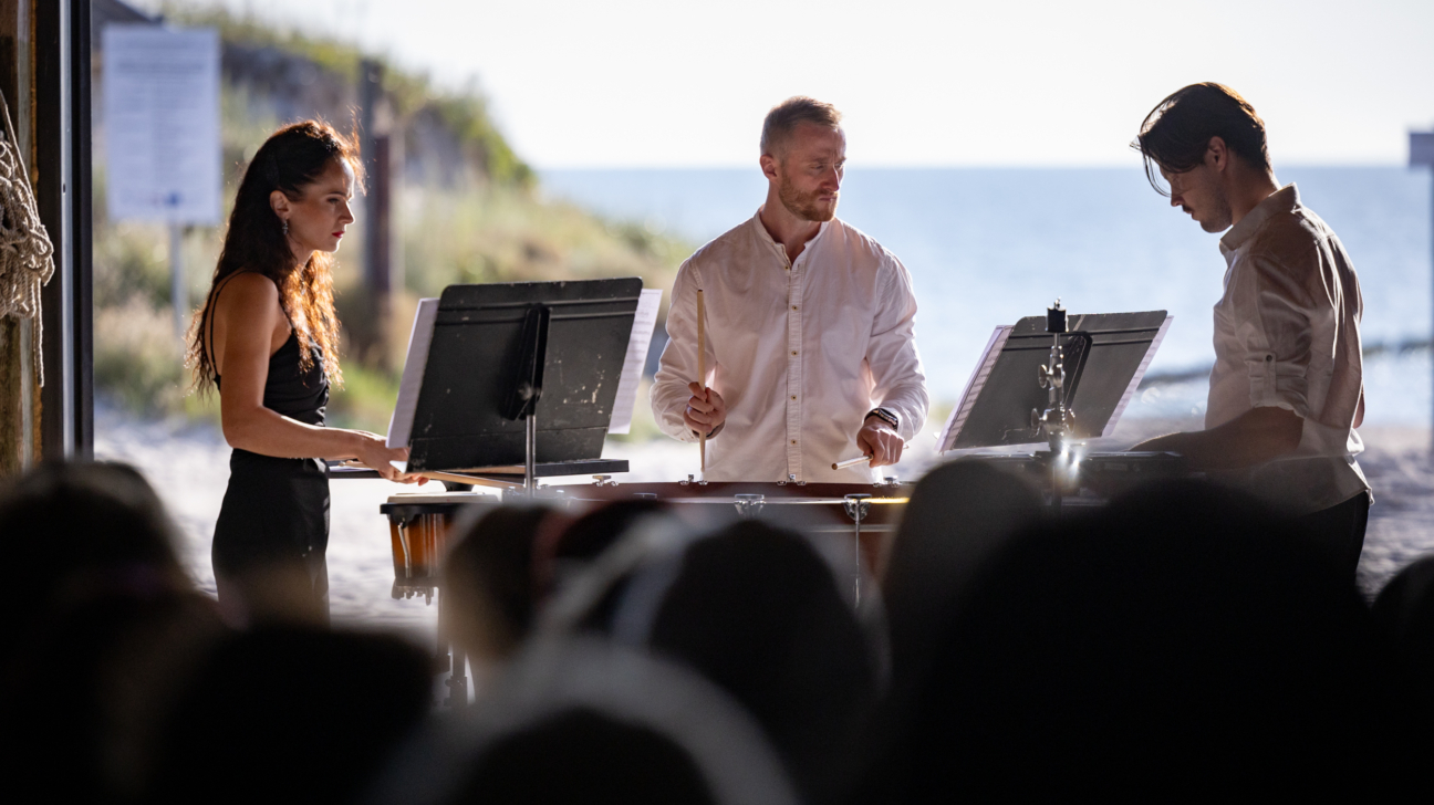 Trīs mūziķi uzstājas brīvdabas koncertā pie jūras. Sieviete melnā un vīrietis baltā kreklā spēlē sitaminstrumentus ar vālītēm, blakus stāv vēl viens vīrietis. Aiz viņiem redzama zila jūra un smilšains krasts, priekšplānā skatītāji.