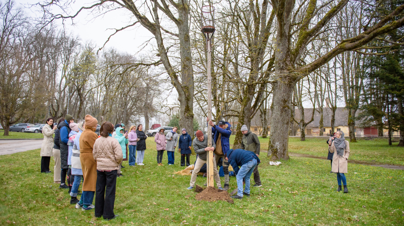 Apmākušā dienā zaļā pļavā cilvēku grupa vēro, kā vairāki vīrieši uzstāda garu koka stabu ar stārķa ligzdas platformu. Apkārt redzami daudzi koki bez lapām.