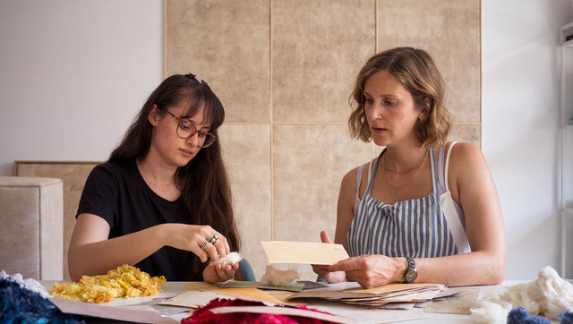 “Craft + Design” public online guest lecture with Sarmīte Poļakova