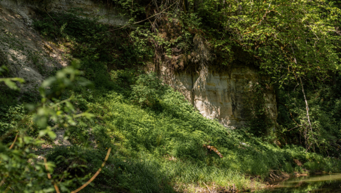 Work Day in the Polīši Ravines, Vārme, Kuldīgas Municipality